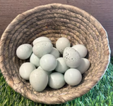 Jumbo Celadon Coturnix Hatching Eggs (Dozen)